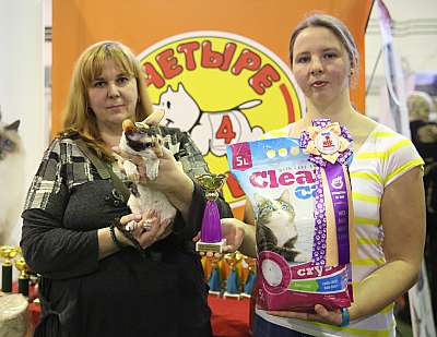 �������� �����  28-29 ������