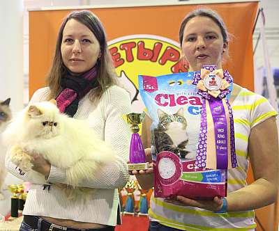 �������� �����  28-29 ������