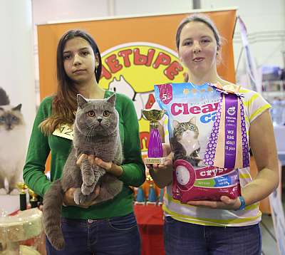 �������� �����  28-29 ������