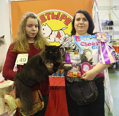 �������� �����  28-29 ������