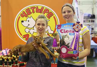 �������� �����  28-29 ������