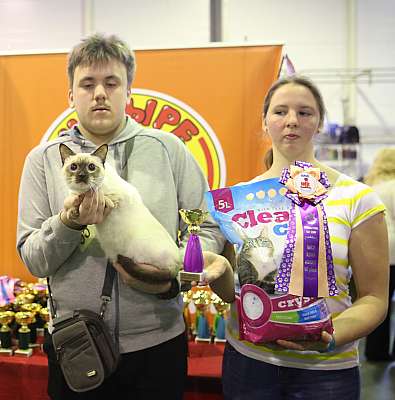 �������� �����  28-29 ������