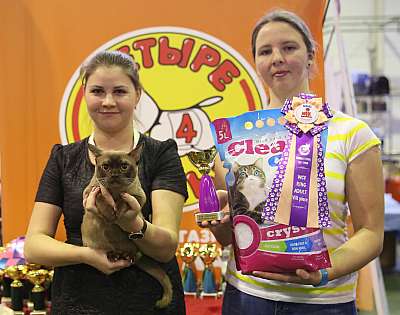 �������� �����  28-29 ������