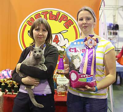 �������� �����  28-29 ������