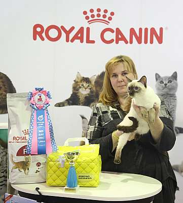 �������� �����  28-29 ������