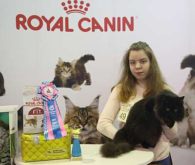 �������� �����  28-29 ������