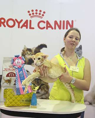 �������� �����  28-29 ������