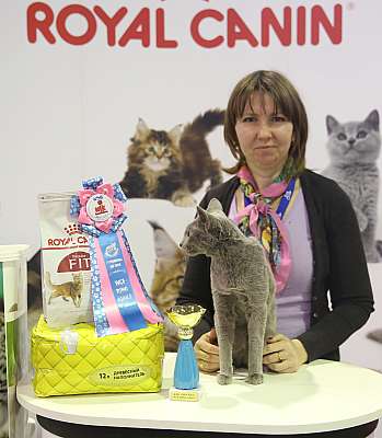 �������� �����  28-29 ������