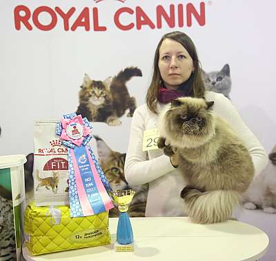 �������� �����  28-29 ������