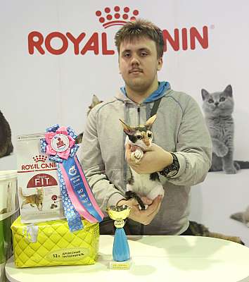 �������� �����  28-29 ������