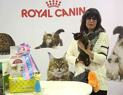 �������� �����  28-29 ������