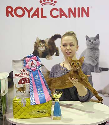 �������� �����  28-29 ������