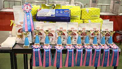 �������� �����  28-29 ������