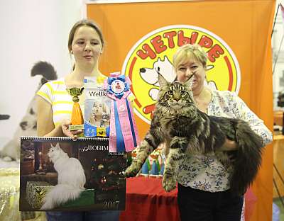 �������� �����  28-29 ������