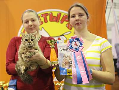 �������� �����  28-29 ������