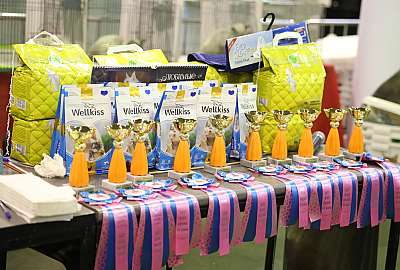 �������� �����  28-29 ������