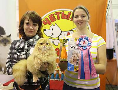 �������� �����  28-29 ������