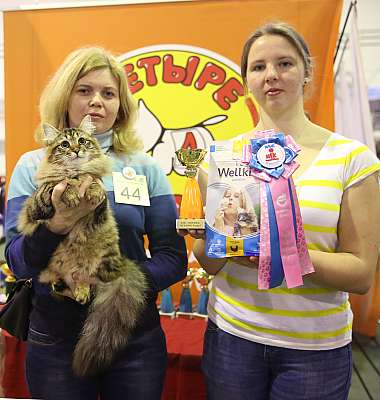 �������� �����  28-29 ������