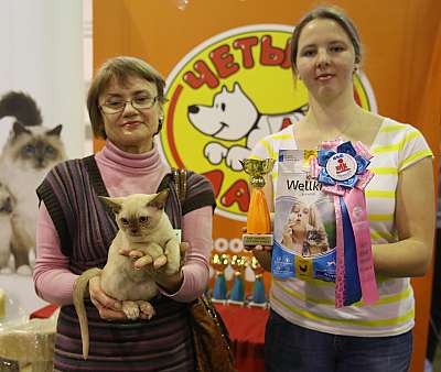 �������� �����  28-29 ������