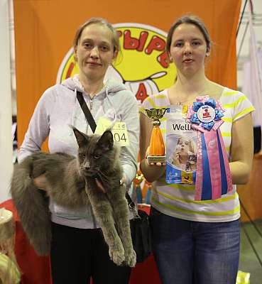 �������� �����  28-29 ������