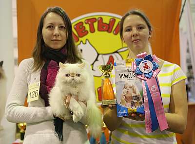 �������� �����  28-29 ������