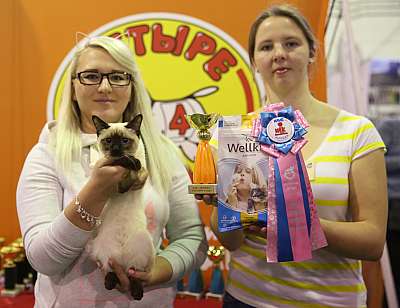 �������� �����  28-29 ������