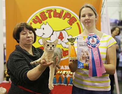 �������� �����  28-29 ������