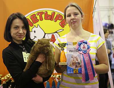 �������� �����  28-29 ������