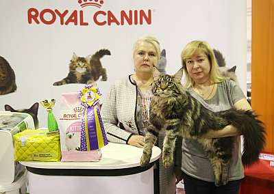 �������� �����  28-29 ������