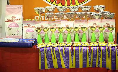 �������� �����  28-29 ������