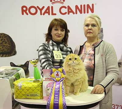 �������� �����  28-29 ������