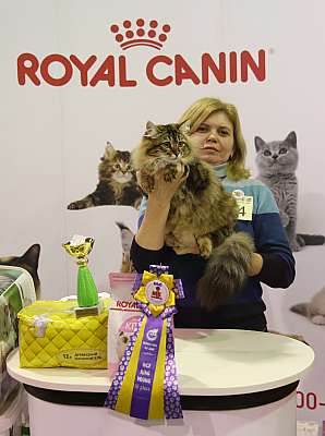 �������� �����  28-29 ������