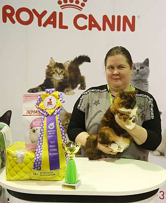 �������� �����  28-29 ������