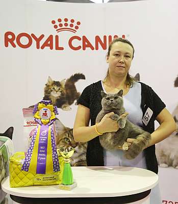 �������� �����  28-29 ������