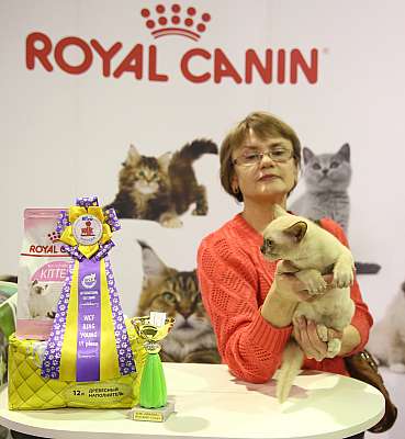 �������� �����  28-29 ������