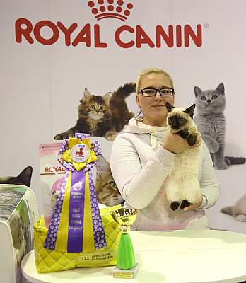 �������� �����  28-29 ������