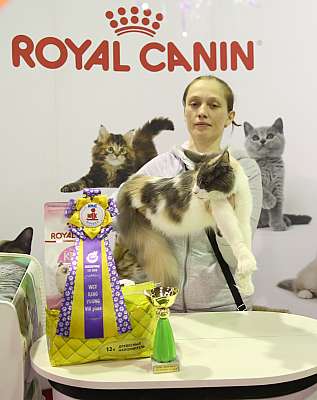 �������� �����  28-29 ������