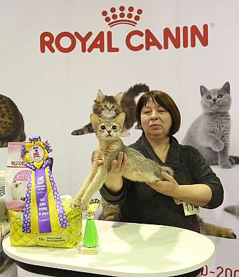 �������� �����  28-29 ������