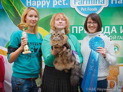 �������� �����  25-26 ������� 2017  �������� �����  25-26 ������� 2017  1-60-IMG_6397.jpg