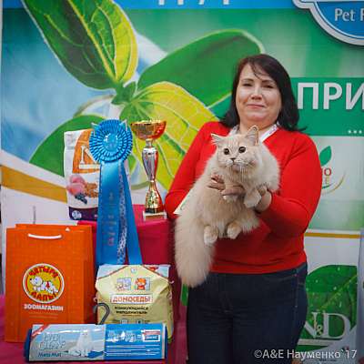 �������� �����  25-26 ������� 2017  10-67-IMG_6289.jpg