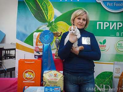 �������� �����  25-26 ������� 2017  11-110-IMG_6234.jpg