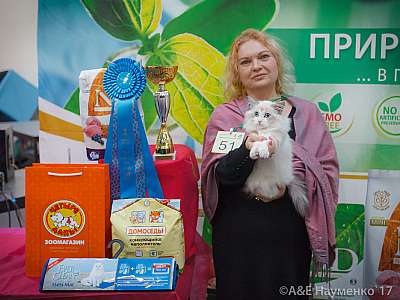 �������� �����  25-26 ������� 2017  12-51-IMG_6231.jpg