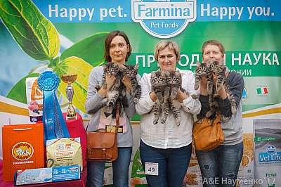 �������� �����  25-26 ������� 2017  13-49-IMG_6179.jpg