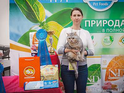 �������� �����  25-26 ������� 2017  14-128-IMG_6157.jpg