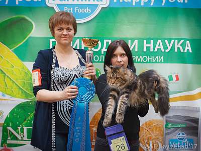 �������� �����  25-26 ������� 2017  3-26-IMG_6393.jpg