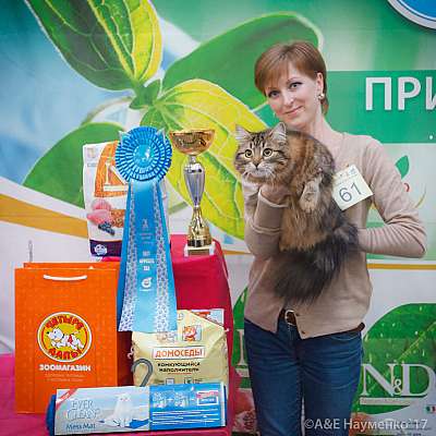 �������� �����  25-26 ������� 2017  5-61-IMG_6340.jpg