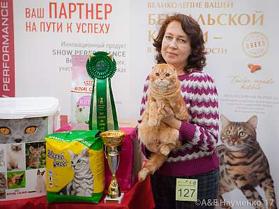 �������� �����  25-26 ������� 2017  10-127-IMG_8881.jpg