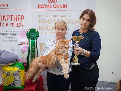 �������� �����  25-26 ������� 2017  11-10-0_17061f_dcd8c814_orig.jpg