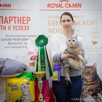 �������� �����  25-26 ������� 2017  14-128-IMG_8828.jpg