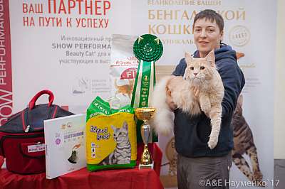 �������� �����  25-26 ������� 2017  2-12-IMG_8946.jpg